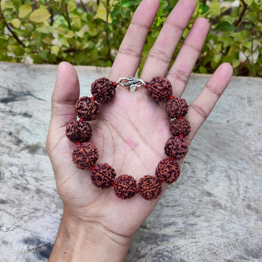 The Divine Science Behind Rudraksha – Myths, Facts & Spiritual Benefits