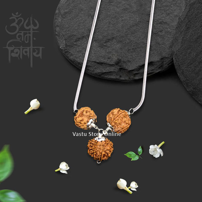 Rudraksha for Strength and Power - 3, 7, 12 Mukhi (faces) All Nepal Rudraksha combination in Silver Pendant with Chain - Lab Certified