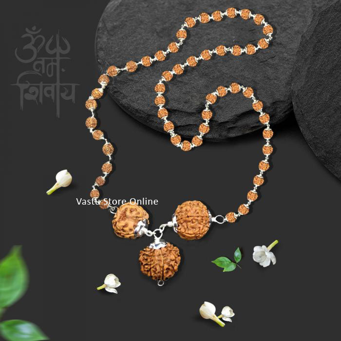 Nepali Rudraksha for Strength and Power - 3, 7, 12 Mukhi (faces) Silver and attach to silver 5 mukhi rudraksha mala, Lab Certified