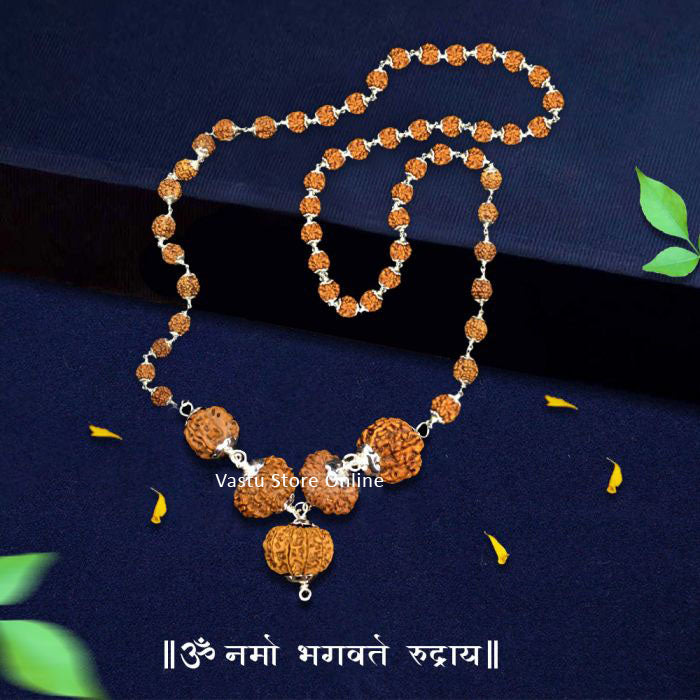 Nepali Rudraksha Combination for Health and Good Luck - 3, 3, 5, 5 Mukhi (faces) with Rudraksha Mala, Lab Certified