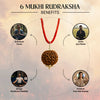 Nepal Origin 6 Mukhi Rudraksha