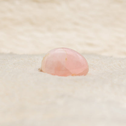 Love Attraction Tumble