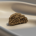 Nepal Origin 1 Mukhi Rudraksha