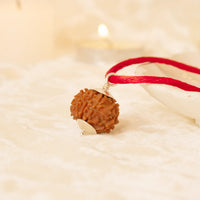 5 Mukhi Rudraksha