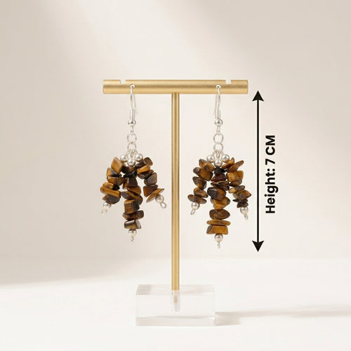 Velora Tiger Eye Earrings_TE01
