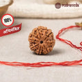 Authentic 7 Mukhi Rudraksha (Abhimantrit / Energized)