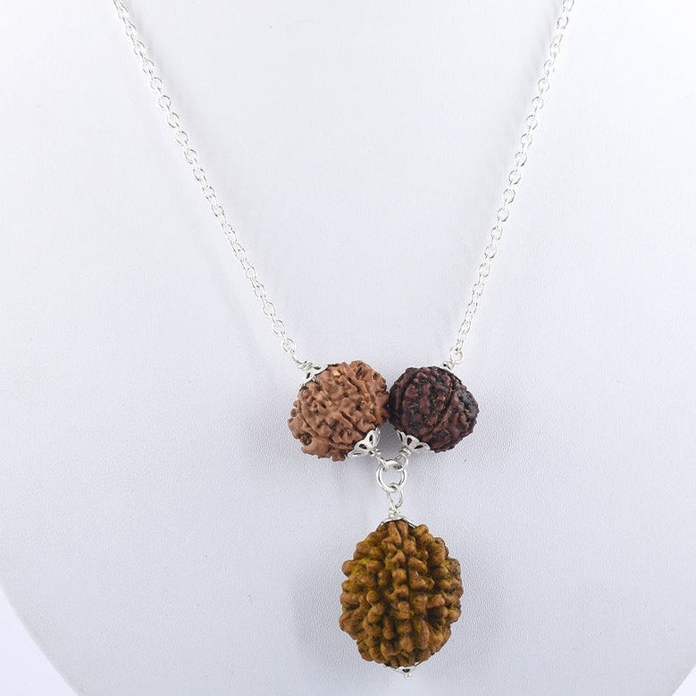 Natural 2 Mukhi,7 Mukhi and 8 Mukhi Rudraksha Pendant as For Kaal Sarp Dosh