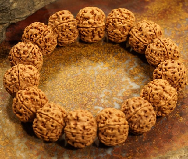 Five Face Rudraksha Adjustable Bracelet Very Large Rudraksha Beads - 20mm