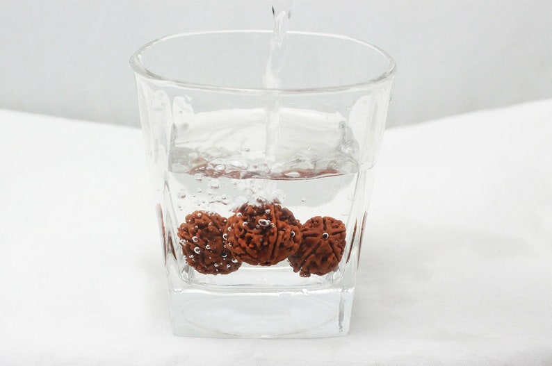 5 Mukhi Nepali Rudraksha Bead Water Therapy