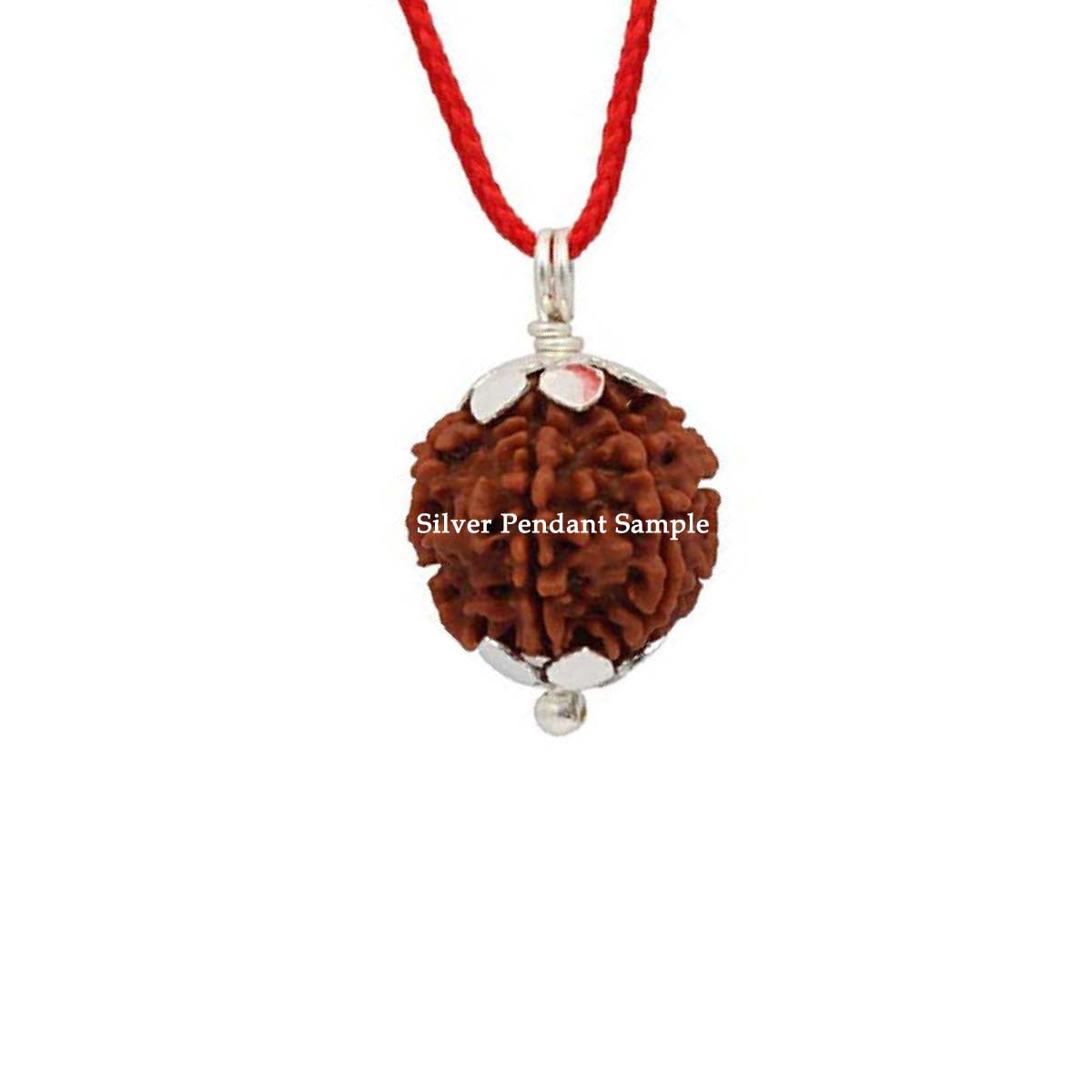 Natural 21 Face Nepali Rudraksha - Lab Certified