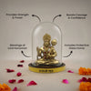 Shakti-Bal Hanuman Combo - Limited Edition